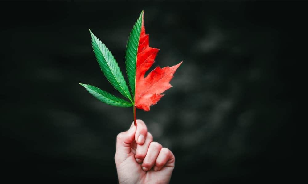 Las acciones de marihuana se ponen ‘high’ en los mercados