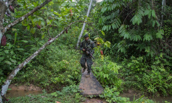 México disuelve unidad antidrogas que colaboró con la DEA por 25 años