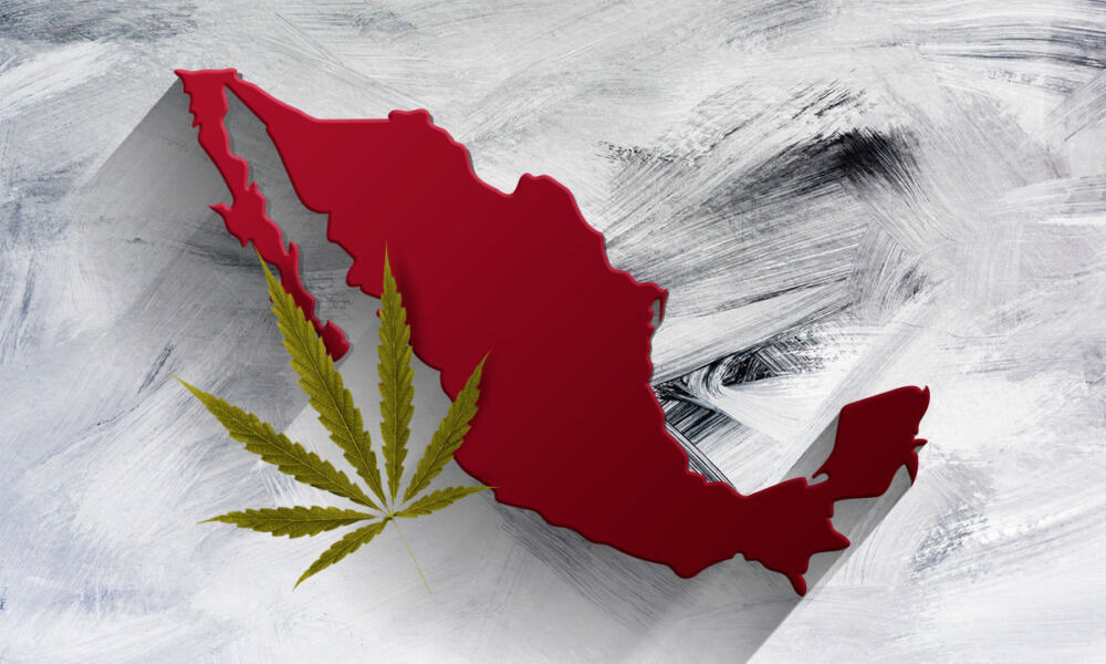 El mercado legal de marihuana es una oportunidad que México desaprovecha