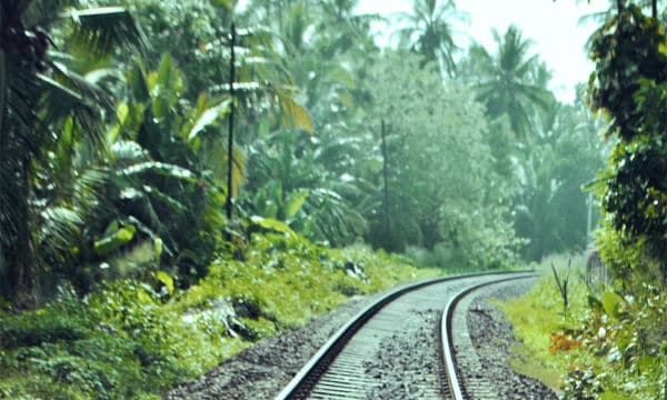 ¿Por qué Fonatur liderará el Tren Maya?