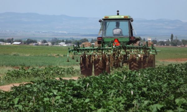 Cobro de derechos por uso de agua en sector agrícola queda enterrado