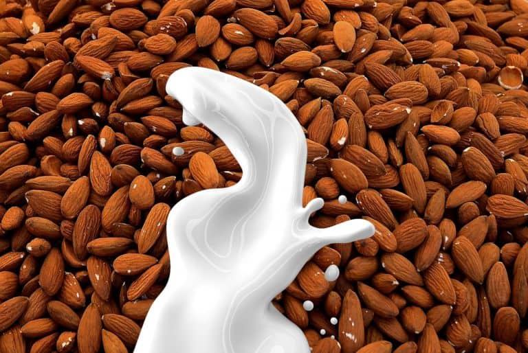 Grupo Lala y el gigante de las almendras, Blue Diamond Growers, forman alianza comercial