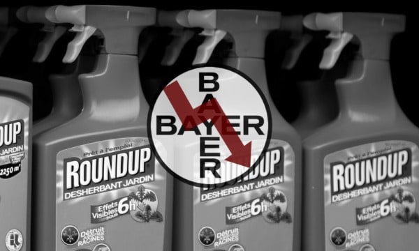 Inversionistas demandan a Bayer por la caída del 45% de las acciones a raíz del litigio por Roundup