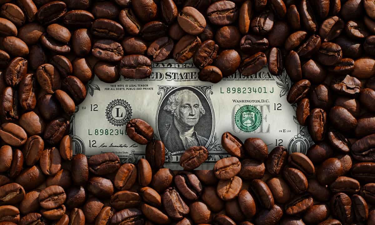 Los precios del café amargan negocio a productores e inversionistas, pero no todo está perdido