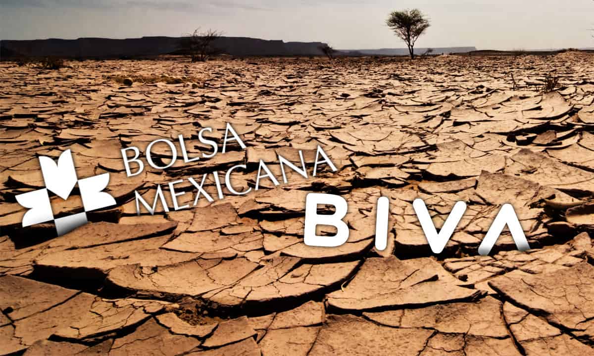 Sequía reina en BIVA y la BMV pese a los incentivos de López Obrador