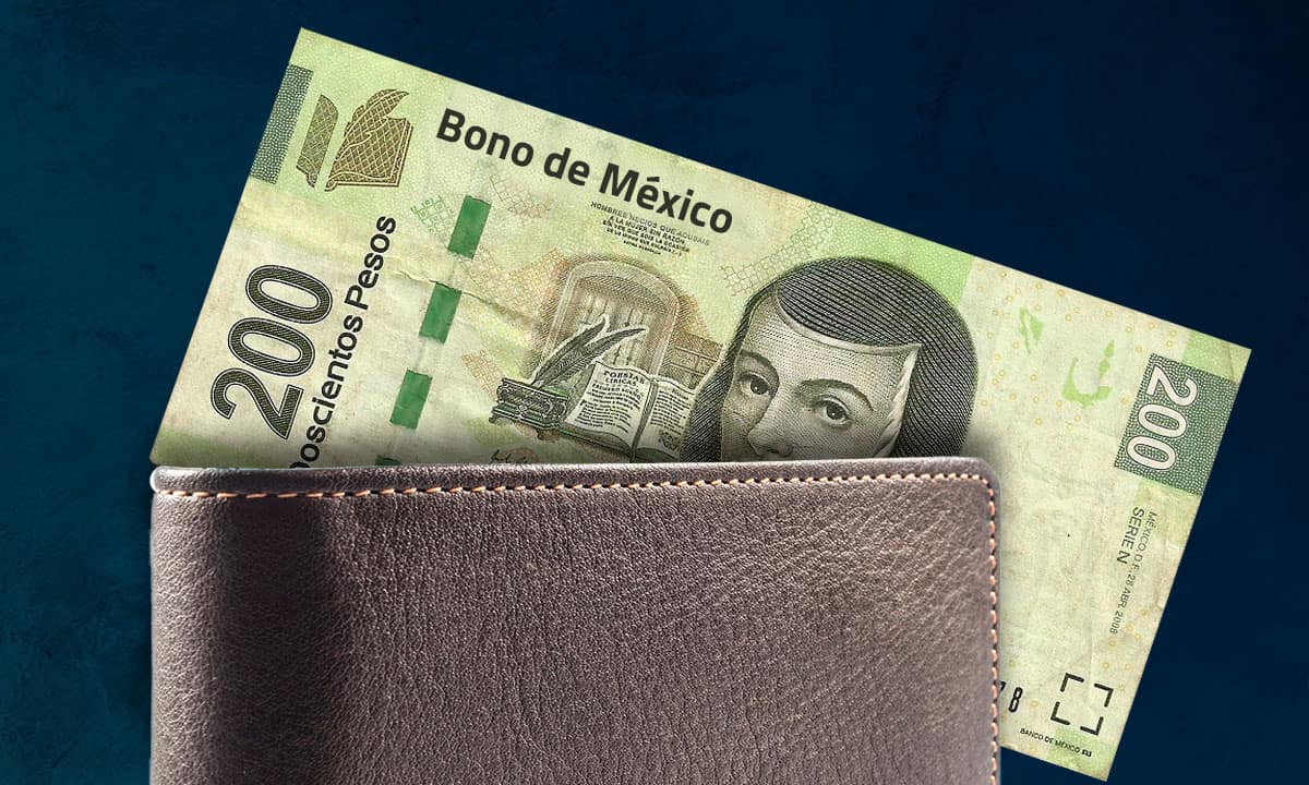 Ingresos de hogares mexicanos caen 4.1% en 2018