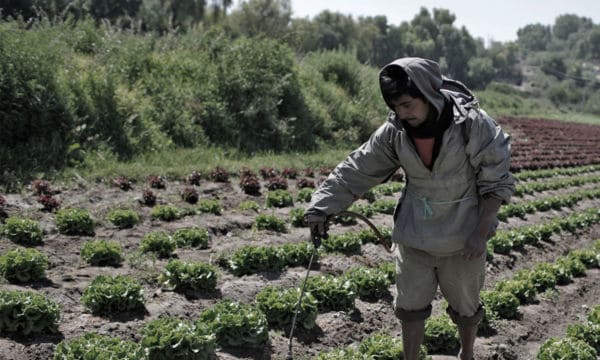 5 millones de trabajadores mexicanos están desamparados en el extranjero