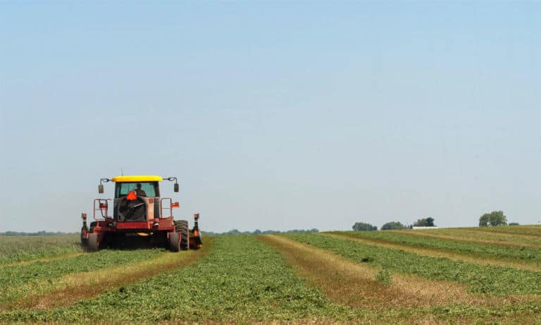 Trump lanza programa de 19,000 millones de dólares para ayudar a agricultores