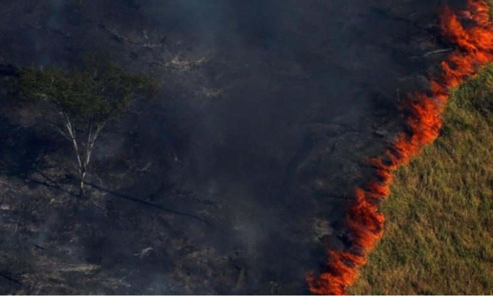 Incendios forestales en la selva amazónica alcanzan cifras sin precedentes