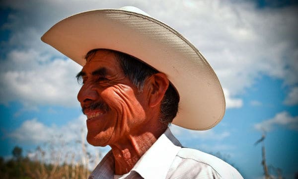 AMLO presume sus programas sociales, ¿pero qué tanto es verdad?