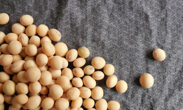 China excluirá de aranceles adicionales a la soya y otros productos de EU