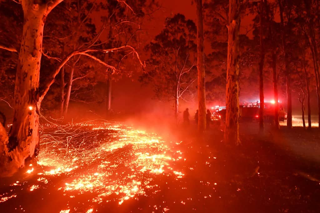 El mundo recibe el 2020 en medio de incendios forestales y protestas