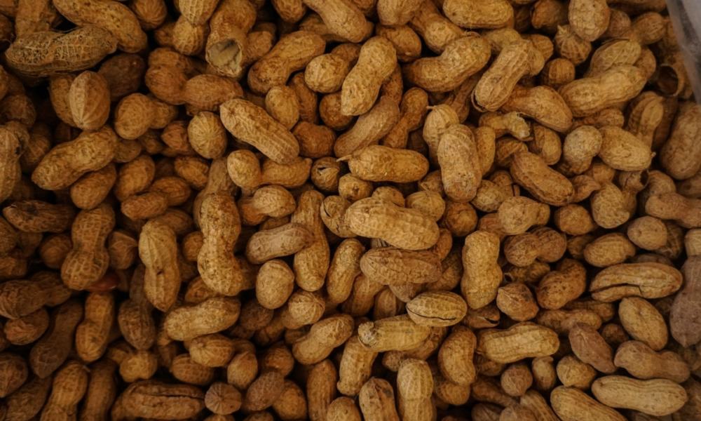 Nestlé desembolsa 2,600 mdd para asegurar tratamiento contra alergia al cacahuate de Aimmune Therapeutics