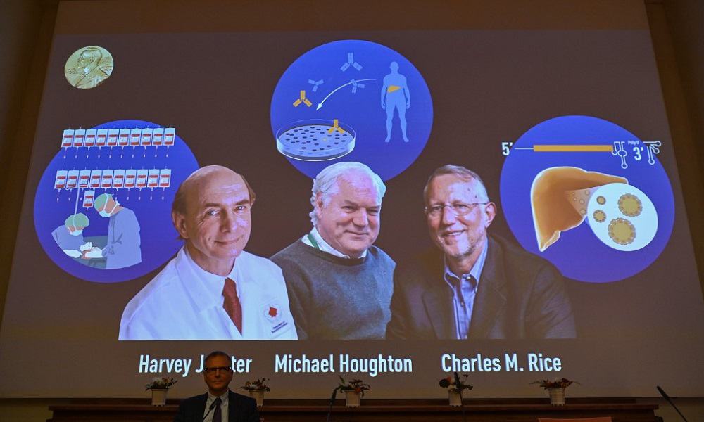 Premio Nobel de Medicina 2020 a científicos que ayudaron a identificar el virus de la hepatitis C