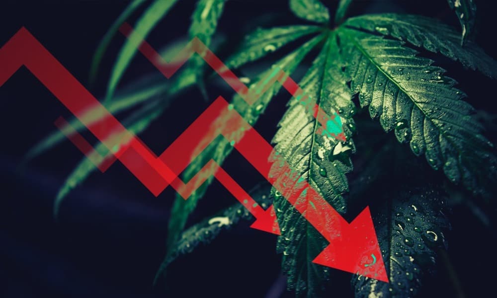 Acciones de cannabis caen a doble dígito pese a impulso de inversionistas en Reddit