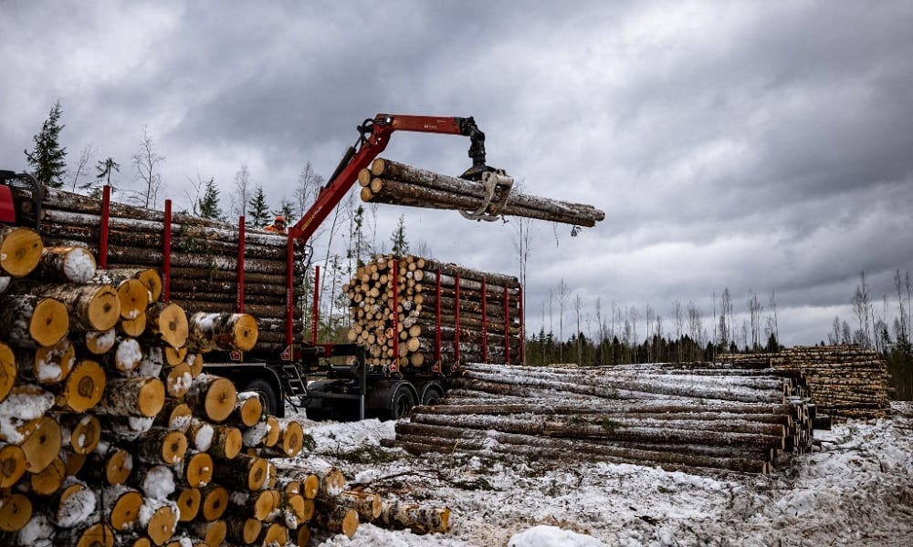 Rusia apuesta por la madera para reducir su dependencia a las exportaciones petroleras