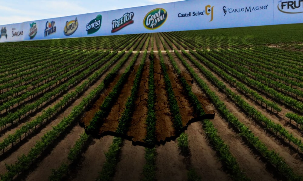 Productores de vino California invierten 200 mdp en su planta en Aguascalientes