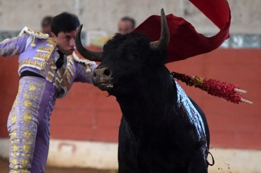 ¿Adiós a las corridas de toros en CDMX? Así va el debate 