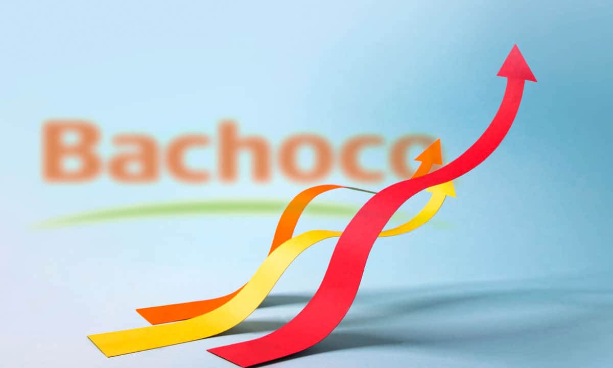 Acciones de Bachoco se estancan en los últimos años