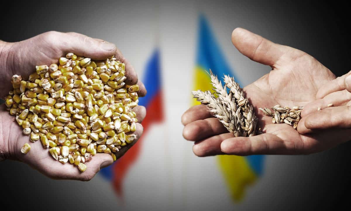 Precio del maíz y el trigo