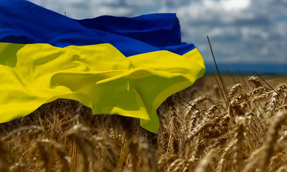Conflicto afecta cereales; cosecha en Ucrania se reduciría a la mitad