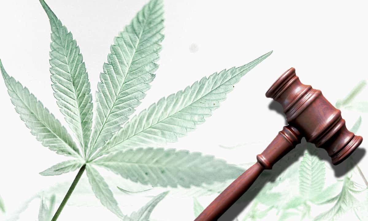 Corte rechaza penalizar posesión de más de cinco gramos de marihuana