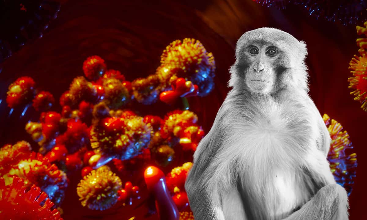 Viruela de mono aún no llega a México; SSA desmiente fake news