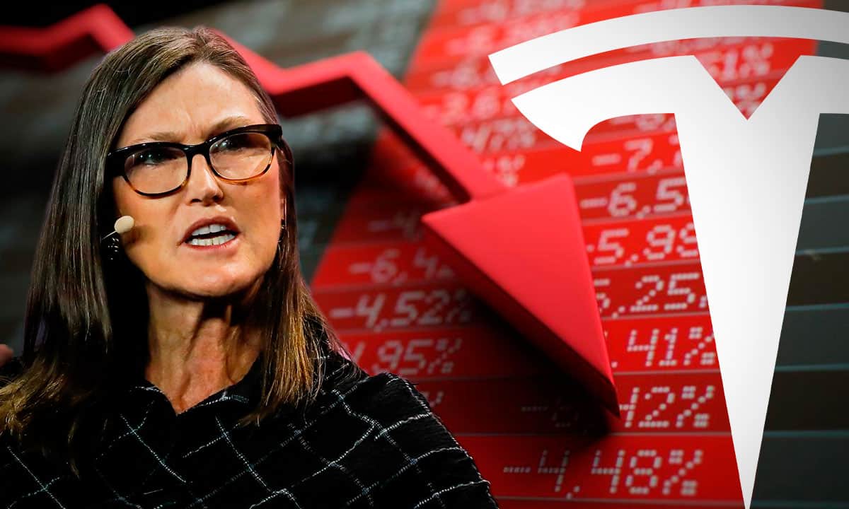 Cathie Wood, de Ark Invest, vuelve a comprar acciones de Tesla tras el desplome de casi 50%