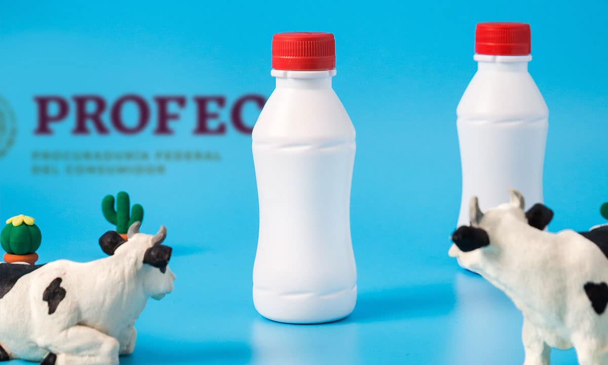Estas son las marcas que sí venden leche real, según Profeco