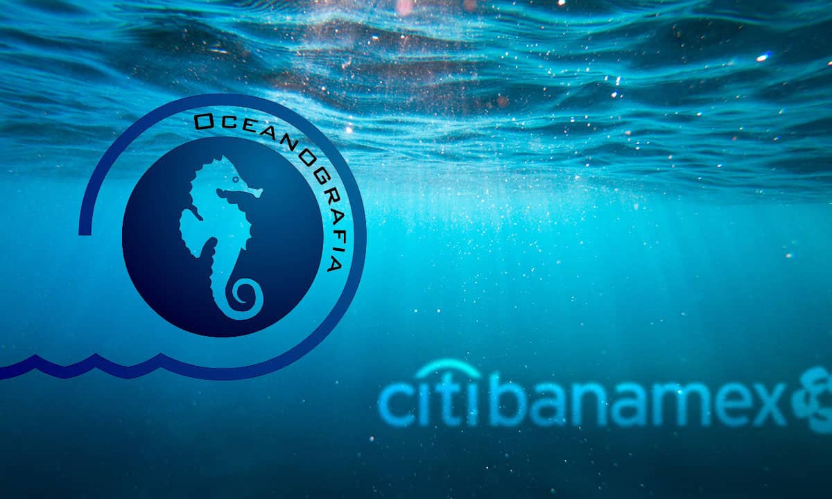 Citibanamex se amparará por freno a venta por caso Oceanografía