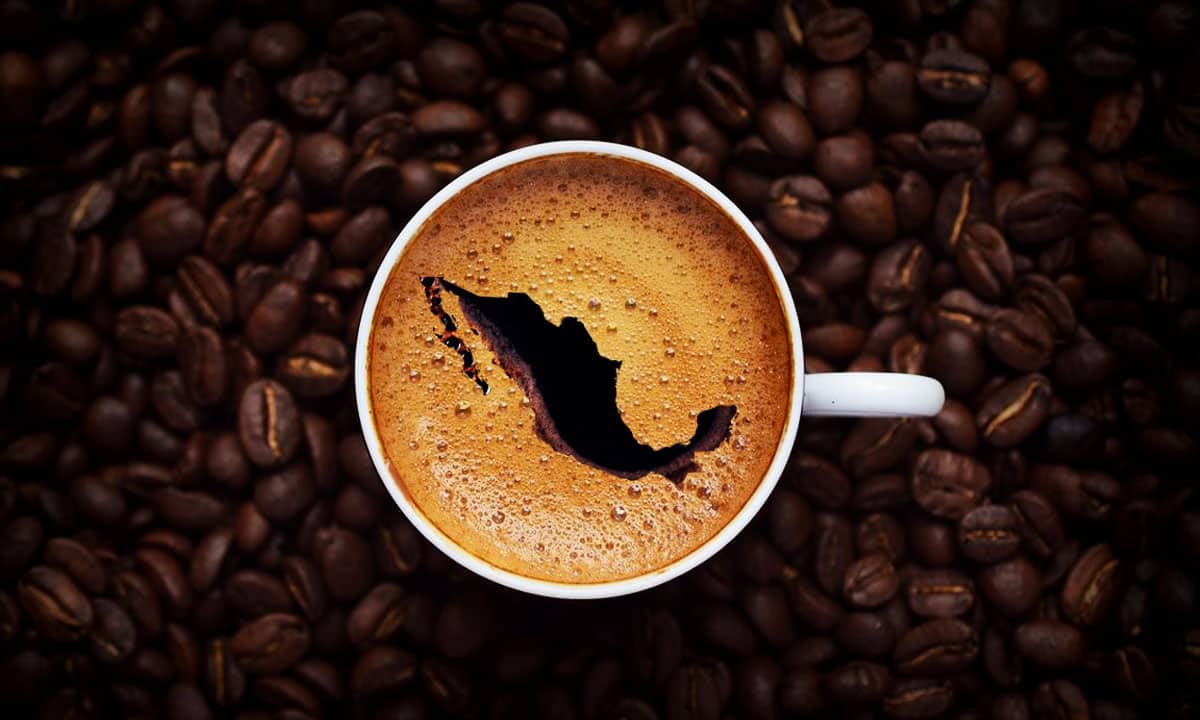 México, potencial en producción de café a nivel mundial, pero con su mayor inflación en 21 años