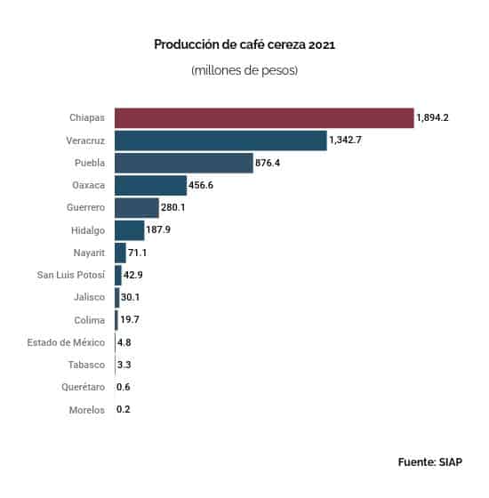 produccion cafe mexico