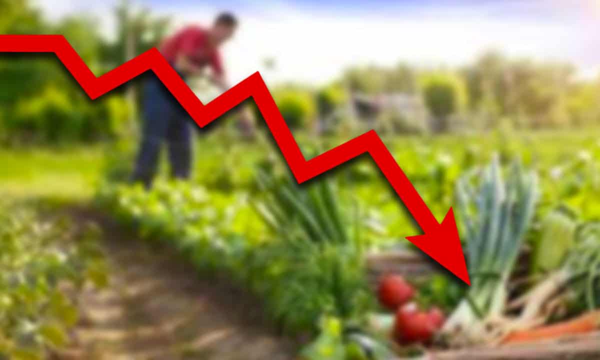 Inflación al productor cae a 8.63% anual en septiembre, su menor nivel en 11 meses