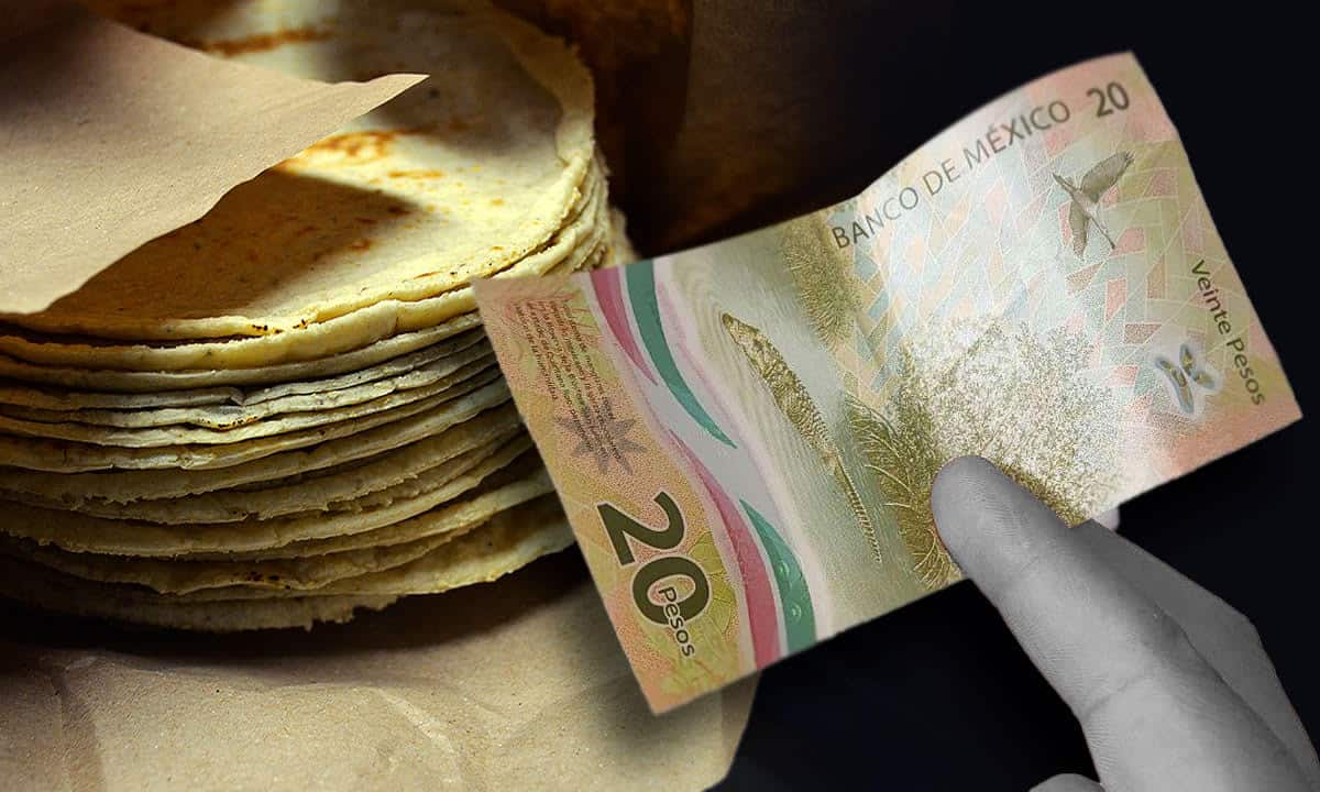 PACIC 2.0: sin impacto directo en el precio de la tortilla; productores no respetan precios pactados : Red de Maíz