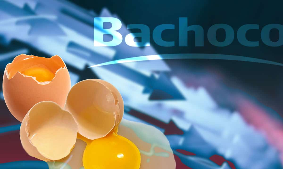 Bachoco, una historia en la que los dueños fracasan en su intento por comprar las acciones