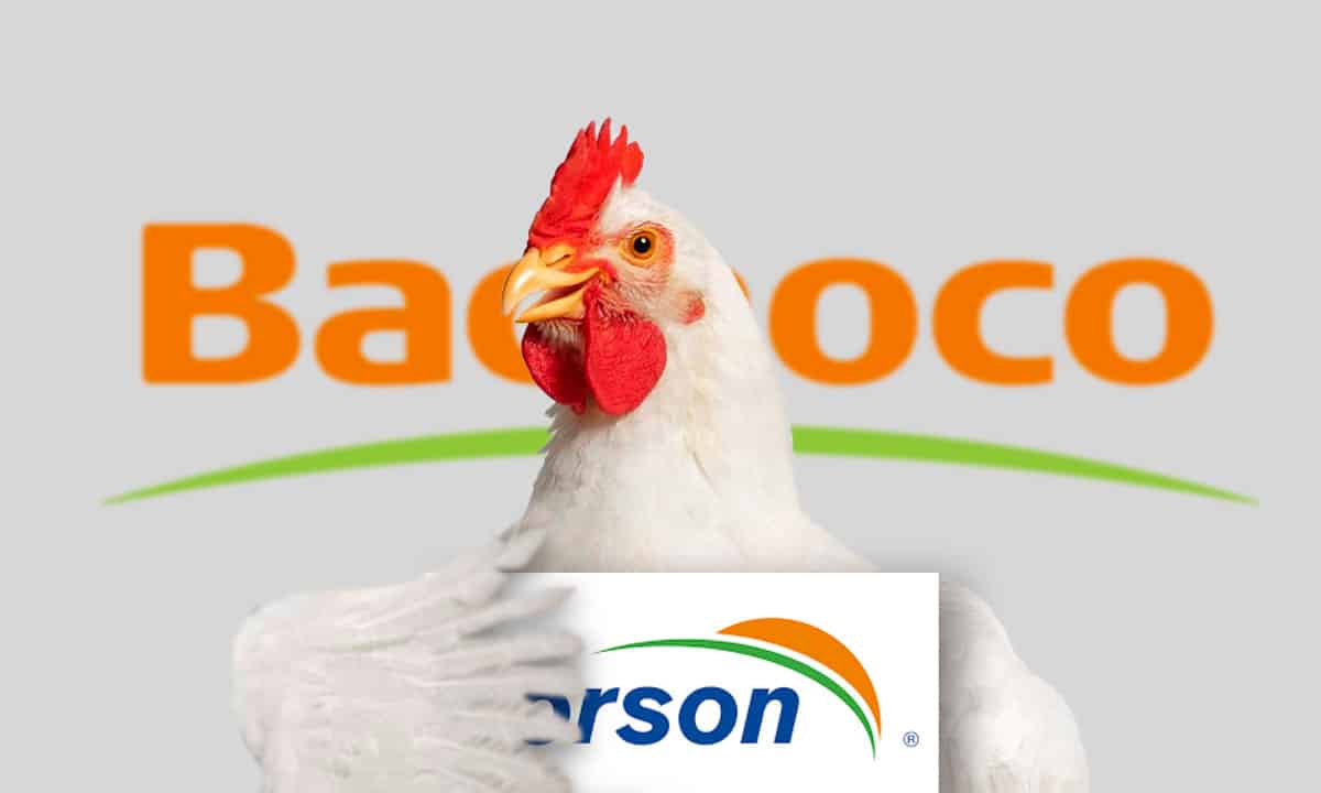 Bachoco abre sus alas, anuncia adquisición de Norson Holding, en México