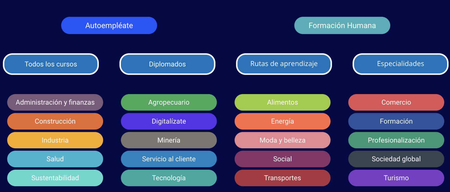 Estos Son Todos Los Cursos Que Ofrece La Fundación Carlos Slim 4908