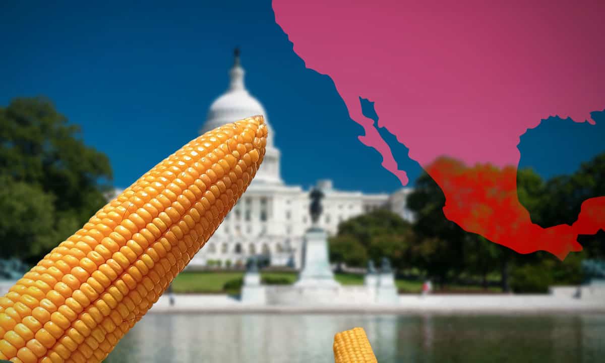 Tensión entre EU y México incrementa por nuevo decreto sobre maíz transgénico