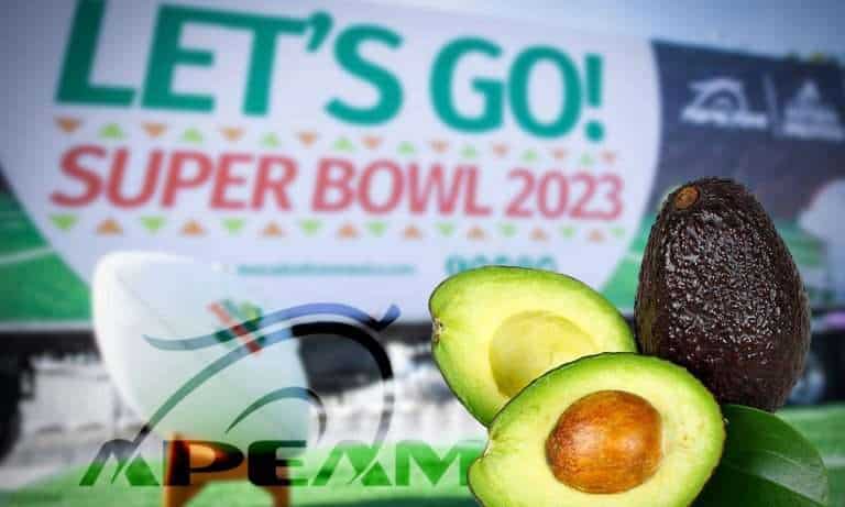 Michoacán realiza primera exportación de 64,101 toneladas de aguacate rumbo al Super Bowl 