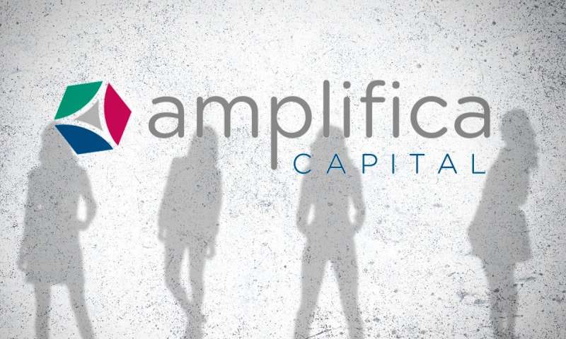 Amplifica Capital cierra primer fondo por 11 mdd; participan empresas como  Herdez, Devlyn y Kavak