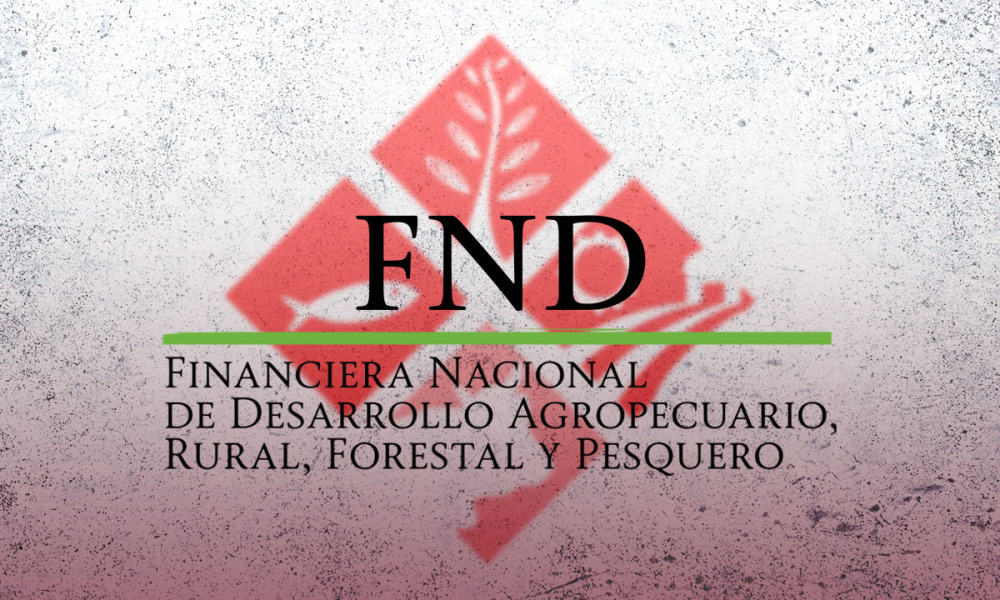 #InformaciónConfidencial: Luces rojas en FND