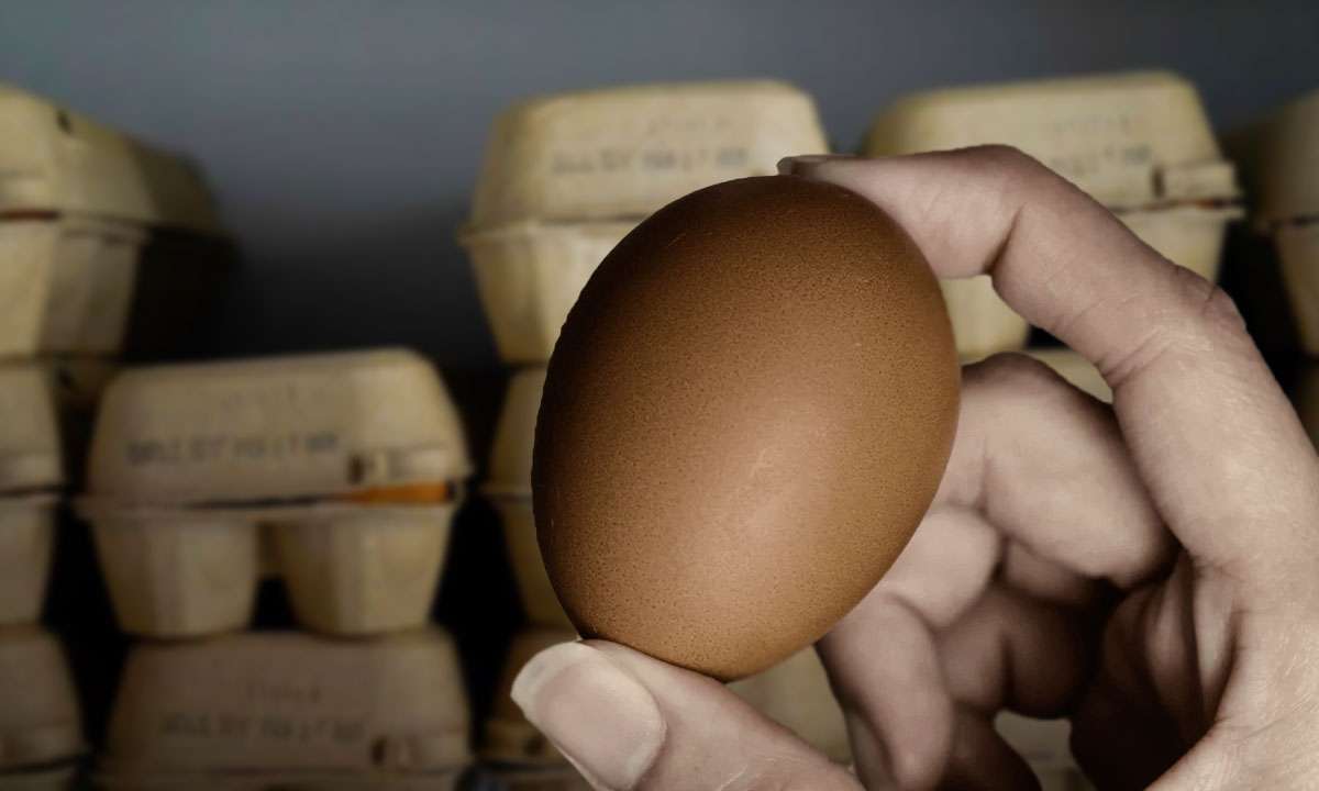 Alza en el precio provoca contrabando de huevo entre México y EU