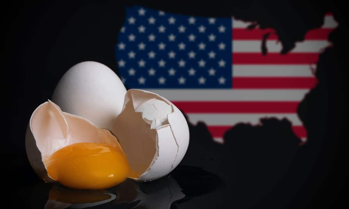 Precio de los huevos caerá cerca del 30% en este 2023