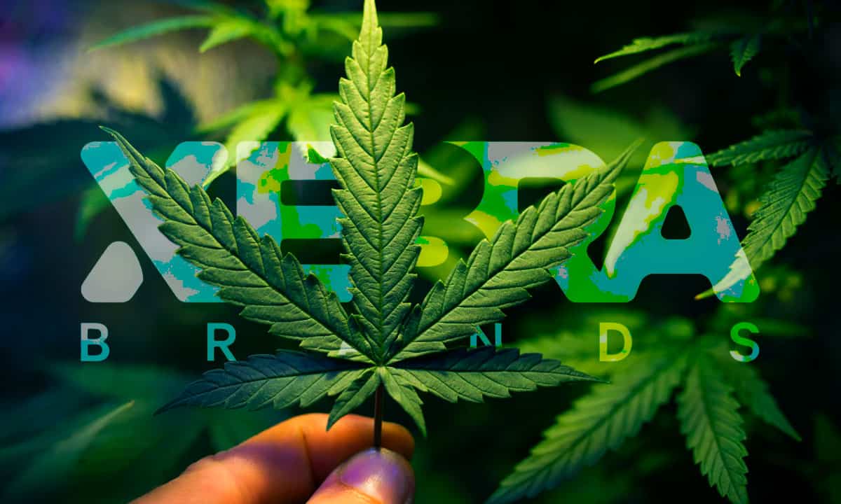 Xebra Brands obtiene permiso para cultivar y procesar marihuana en México