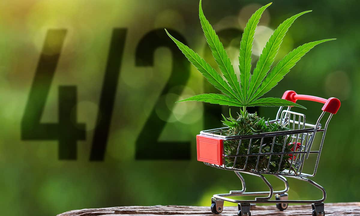 4/20, Día Mundial de la Cannabis: una industria creciente