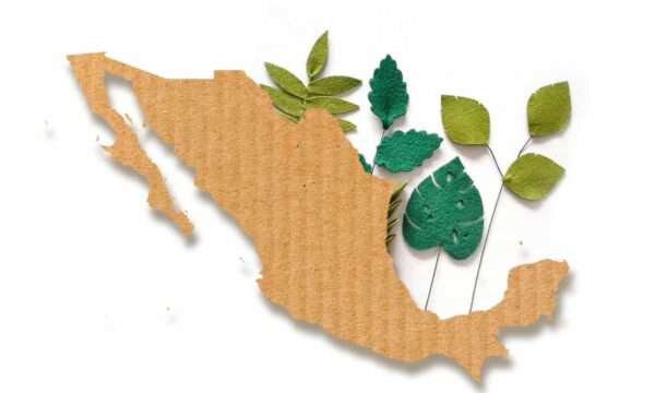 Estos son los 10 estados más sustentables del país