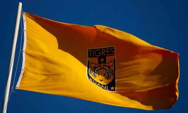 Liga MX: éste es el dueño del Tigres UANL, semifinalista del Clausura 2023