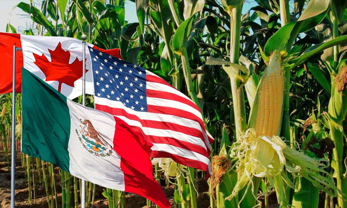 México, EU y Canadá se reunirán la próxima semana para tratar el tema del maíz transgénico