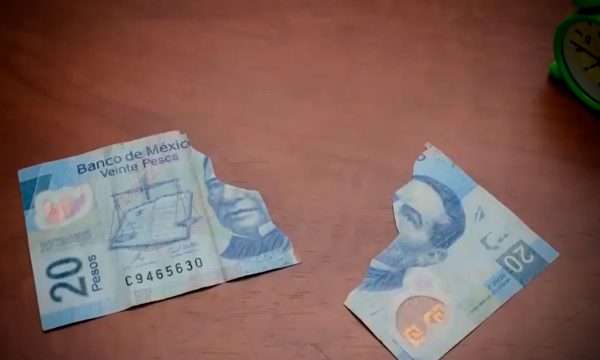 Cómo cambiar los billetes dañados según Banxico