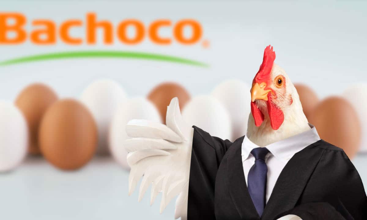 Bachoco: ¿Quién está detrás de la empresa de alimentos avícolas?